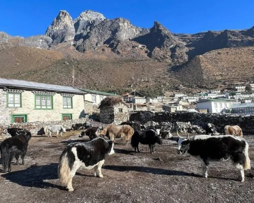Khumjung Village Nepal
