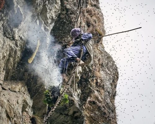 Mad honey Nepal
