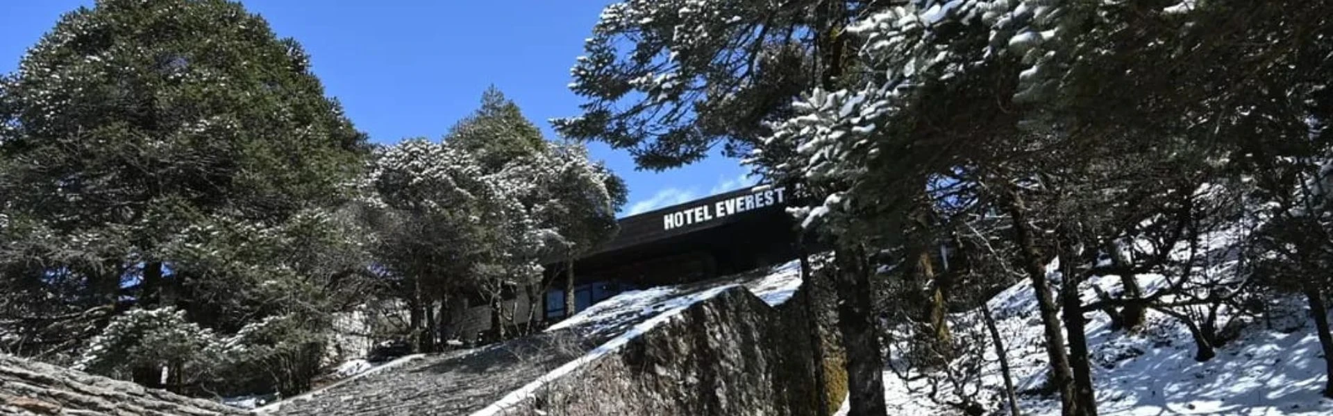 Hotel Everest View