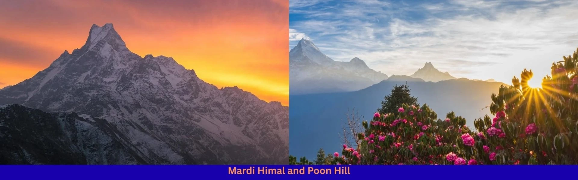 Poon Hill vs Mardi Himal Trek