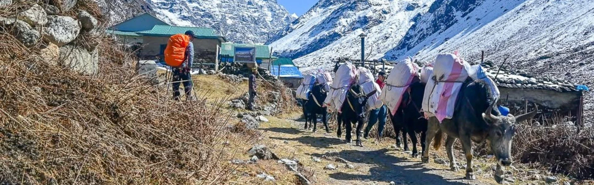 Hiring a guide and porter in Nepal