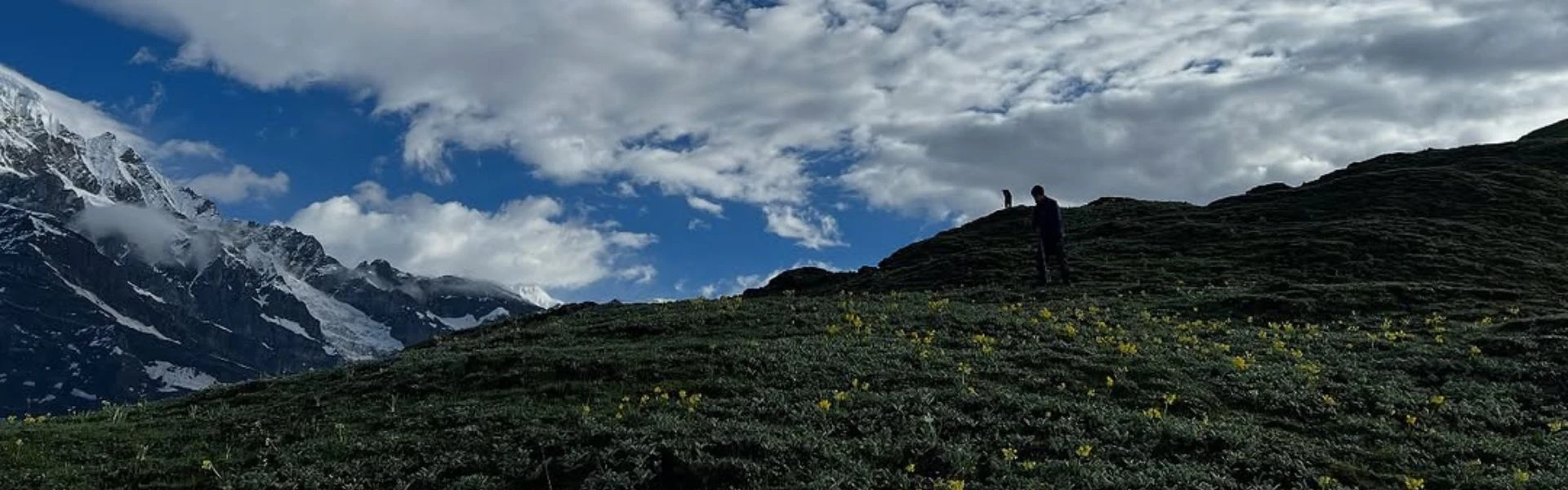 leeches on Nepal treks
