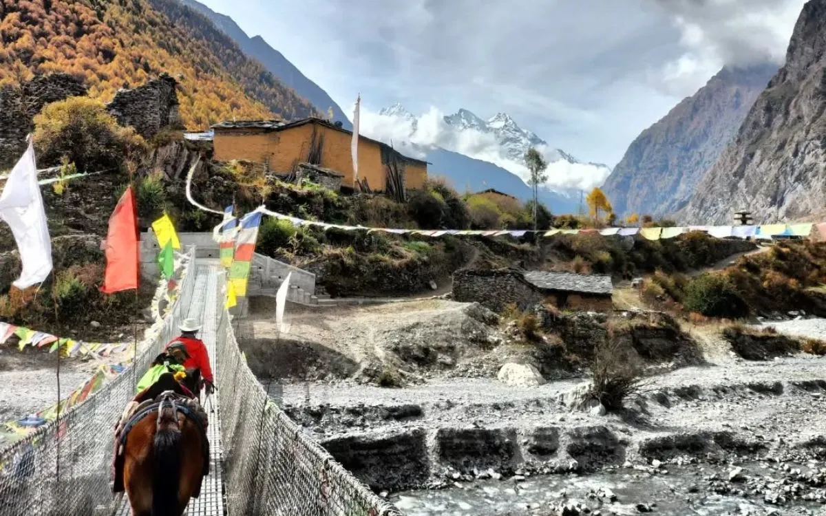 Trekker with yak crossing suspension bridge in Manaslu valley with traditional village buildings