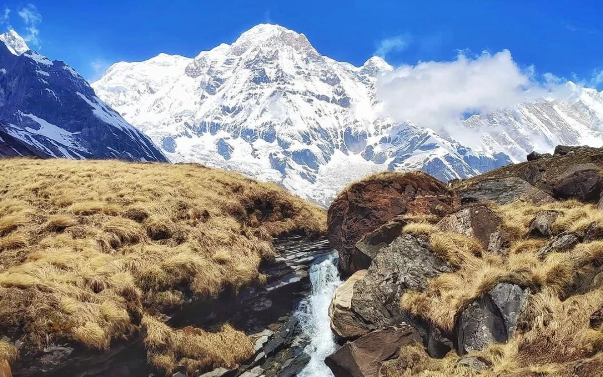 Frozen stream flowing toward Annapurna I peak across golden grasslands in the conservation area