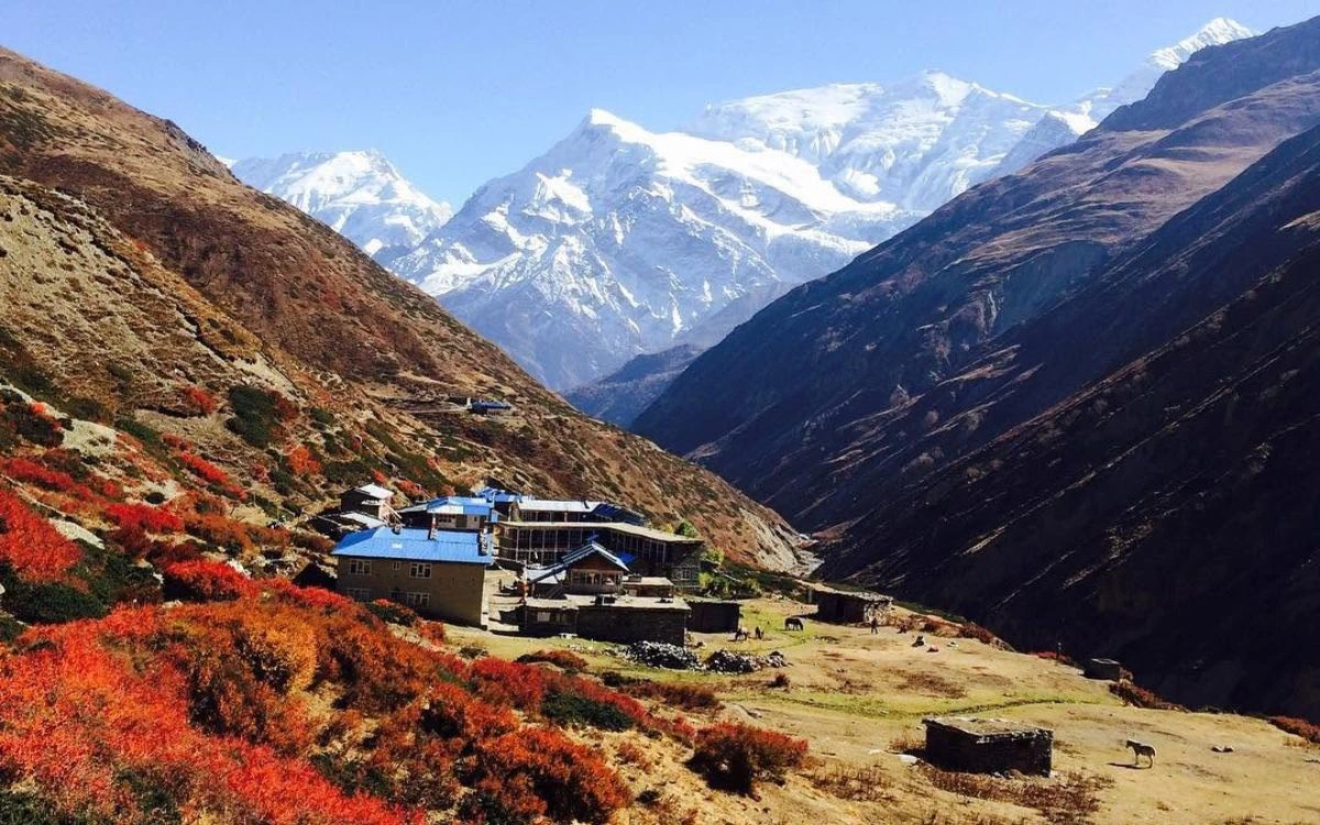 Jaw drabbing view of Mt. Annapurna III and Gangapurna from Yak kharka.