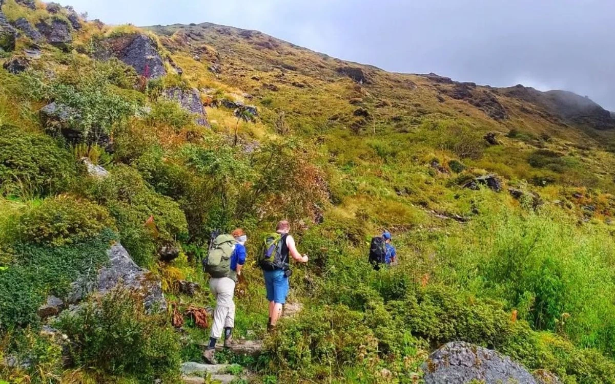 Three trekkers with backpacks hiking up a lush mountain trail in Nepal