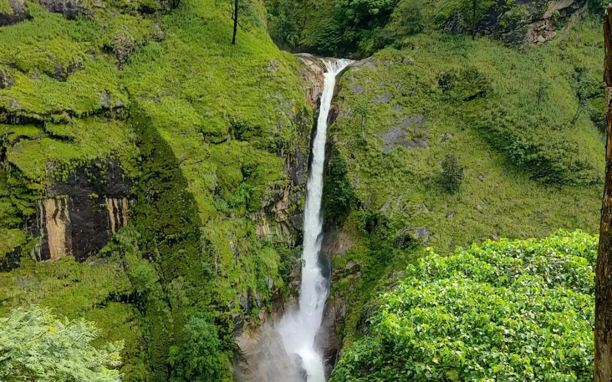 Tall waterfall flowing down green moss-covered cliffs near Dharapani village