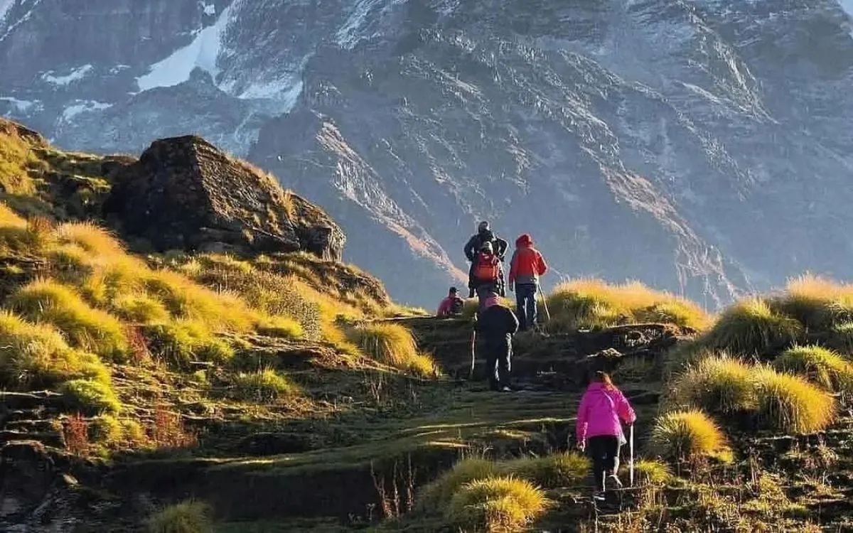 Group of trekkers hiking golden grassland trail with Himalayan backdrop on Mardi Himal trek Nepal
