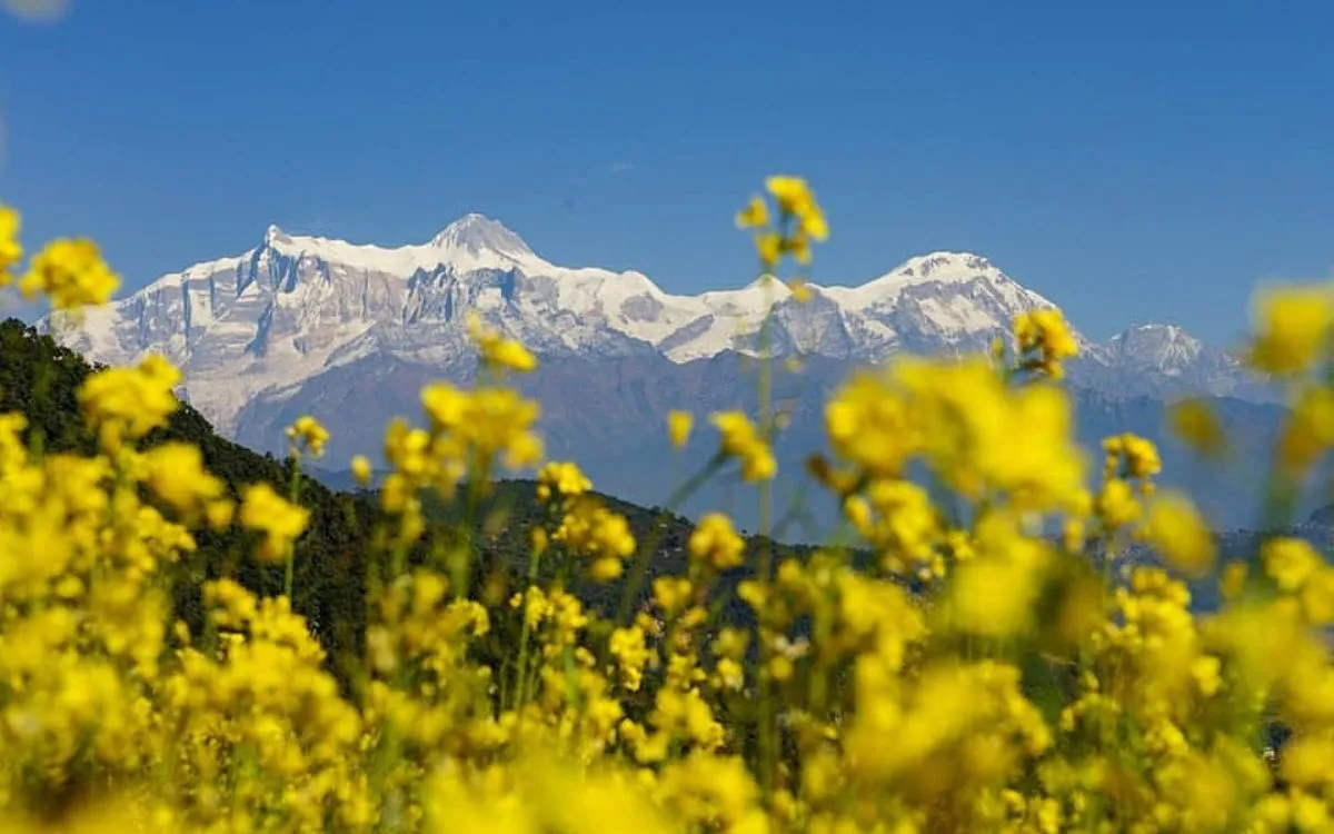 Group of trekkers hiking golden grassland trail with Himalayan backdrop on Mardi Himal trek Nepal