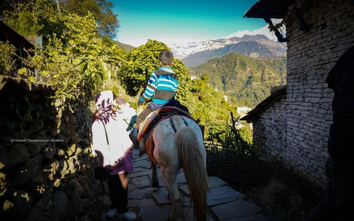 Trekkers walking through stone-paved village path on horseback with Himalayan peaks visible ahead