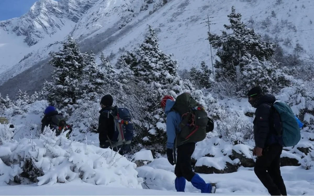 Trekkers with heavy backpacks ascending a snow-covered trail through pine trees beneath a towering Himalayan peak