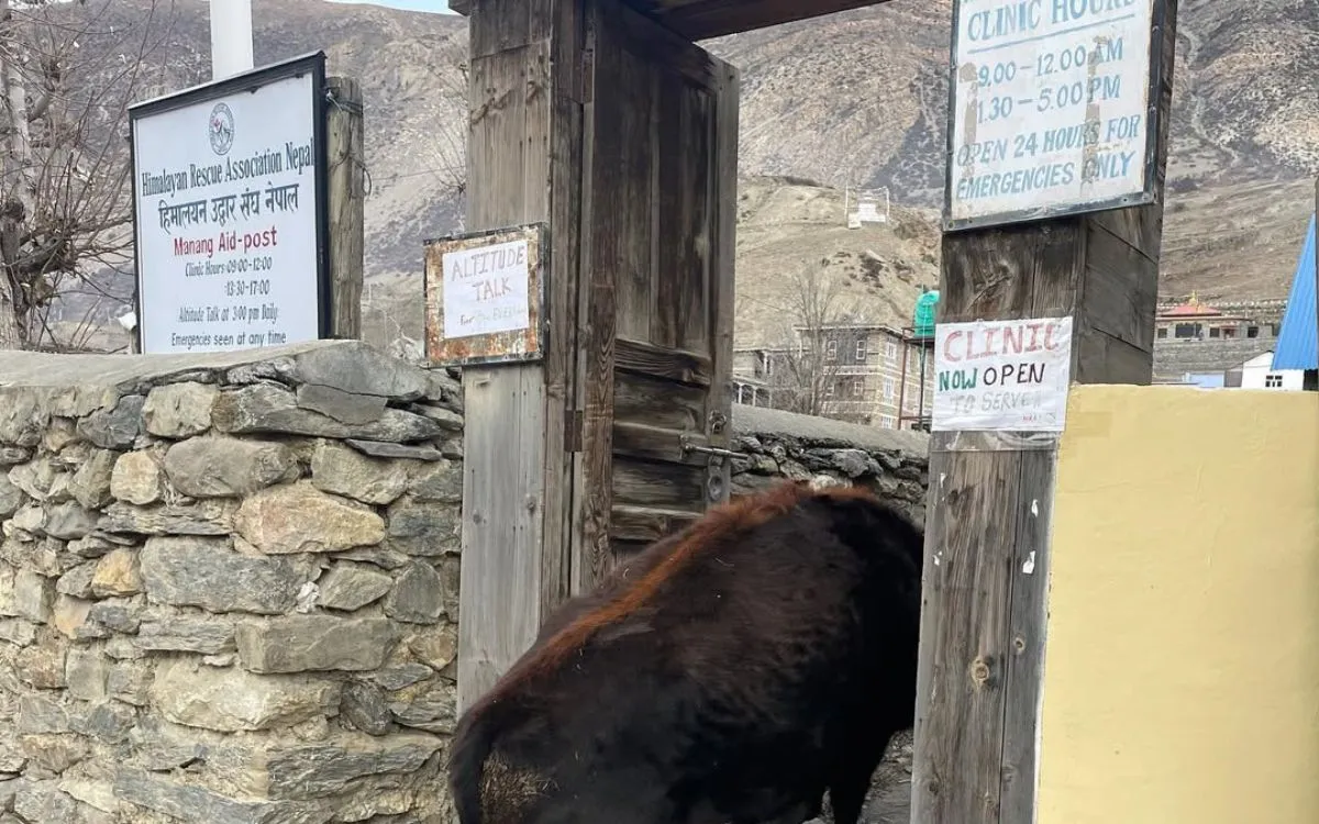 Himalayan Rescue Association clinic in Manang on the Annapurna Circuit trek
