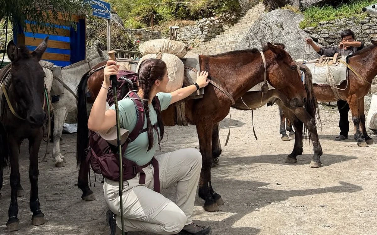 Female trekker photographing pack animals and local handler at Nepal mountain village rest stop