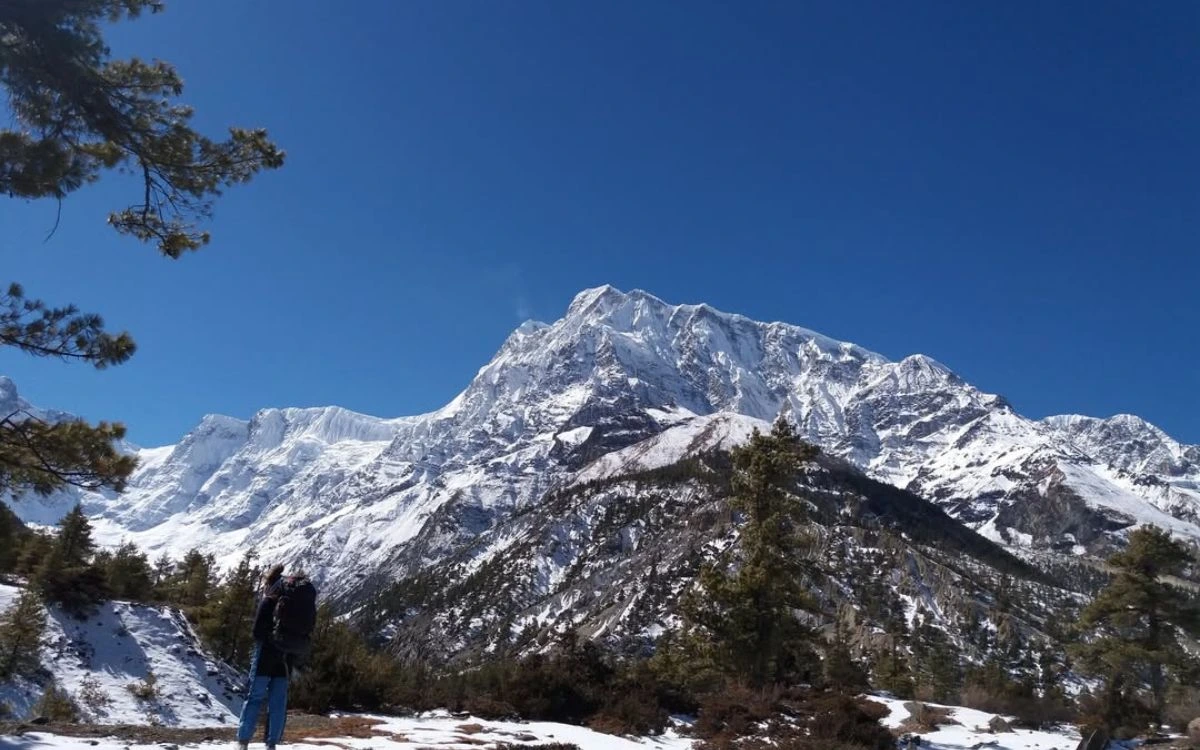 Trekker viewing Annapurna mountain range on Nepal hiking trail