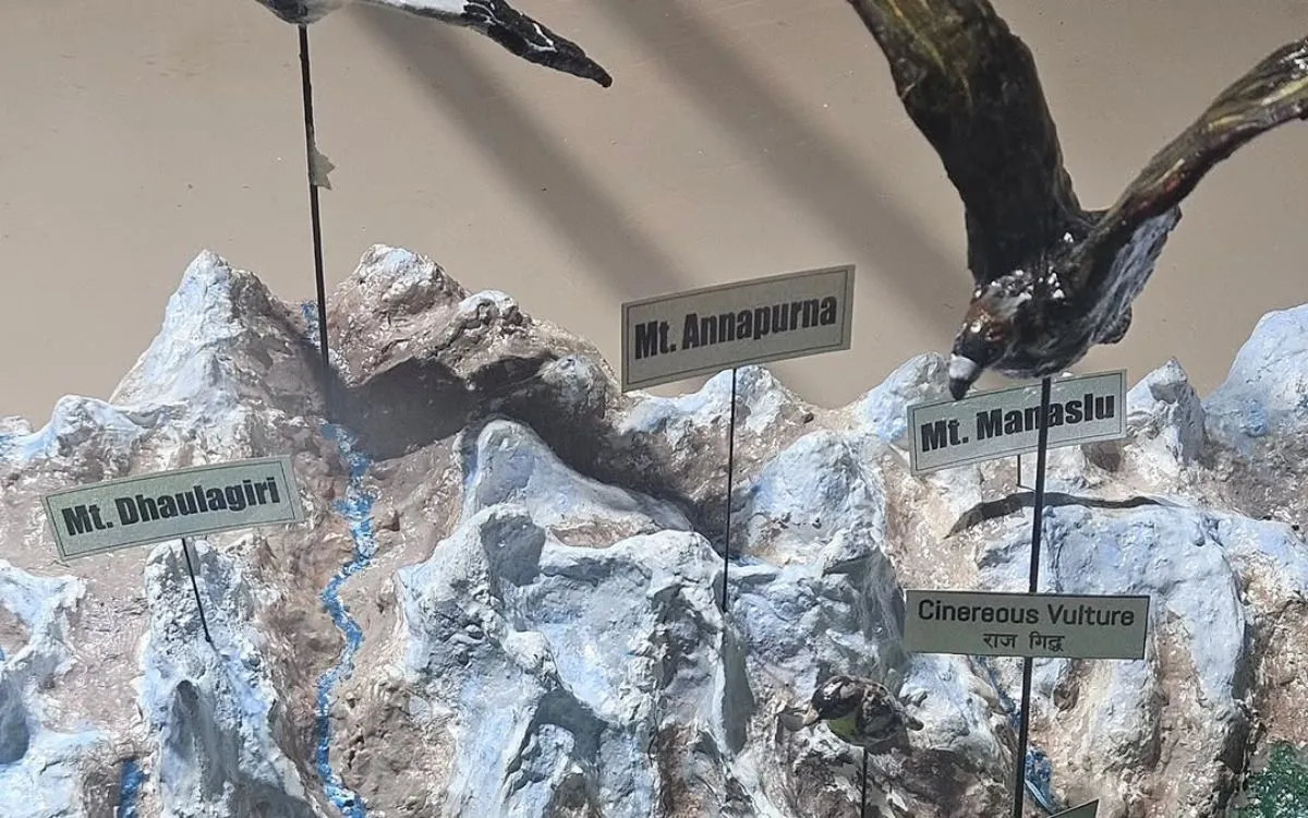 3D topographical model showing Mt. Dhaulagiri, Annapurna, and Manaslu peaks