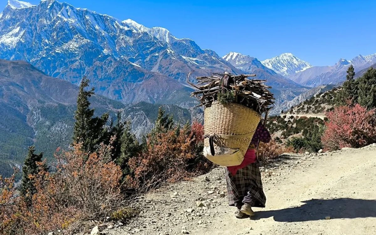 A local woman carrying a heavy doko basket of firewood on a trail with the Annapurna range behind