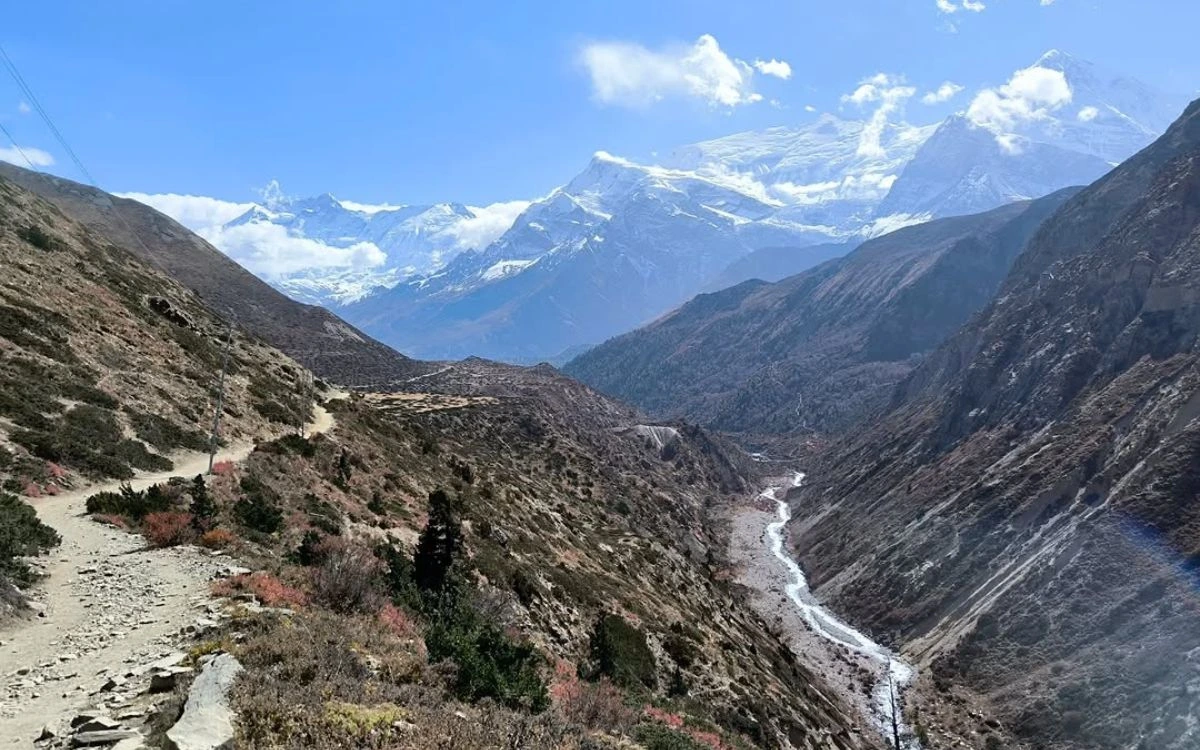 A winding Annapurna Circuit trail overlooking a deep river gorge with snow-capped Annapurna peaks ahead