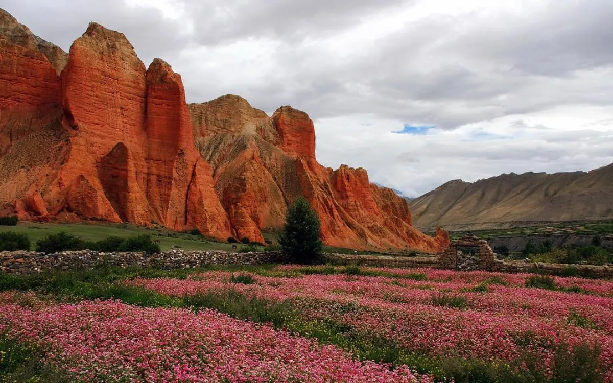 Red rock cliffs and wildflower fields in Upper Mustang trekking region Nepal