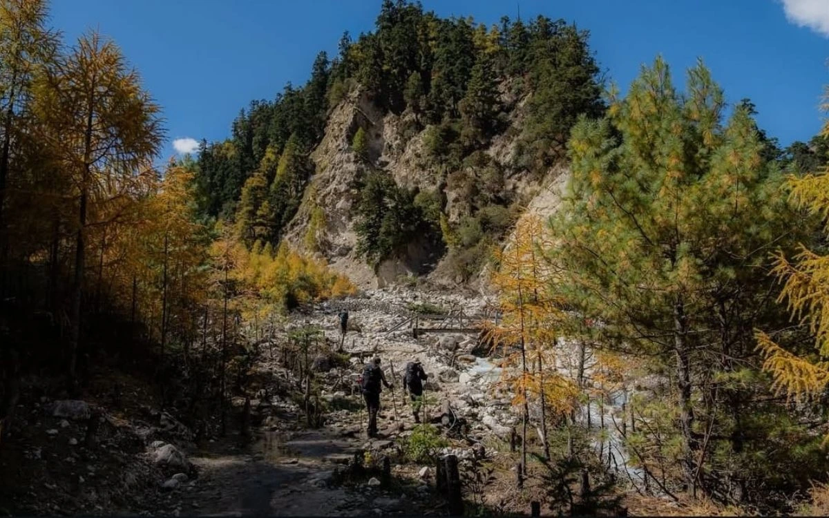 Trekkers walking through autumn forest along rocky trail in Manaslu Conservation Area
