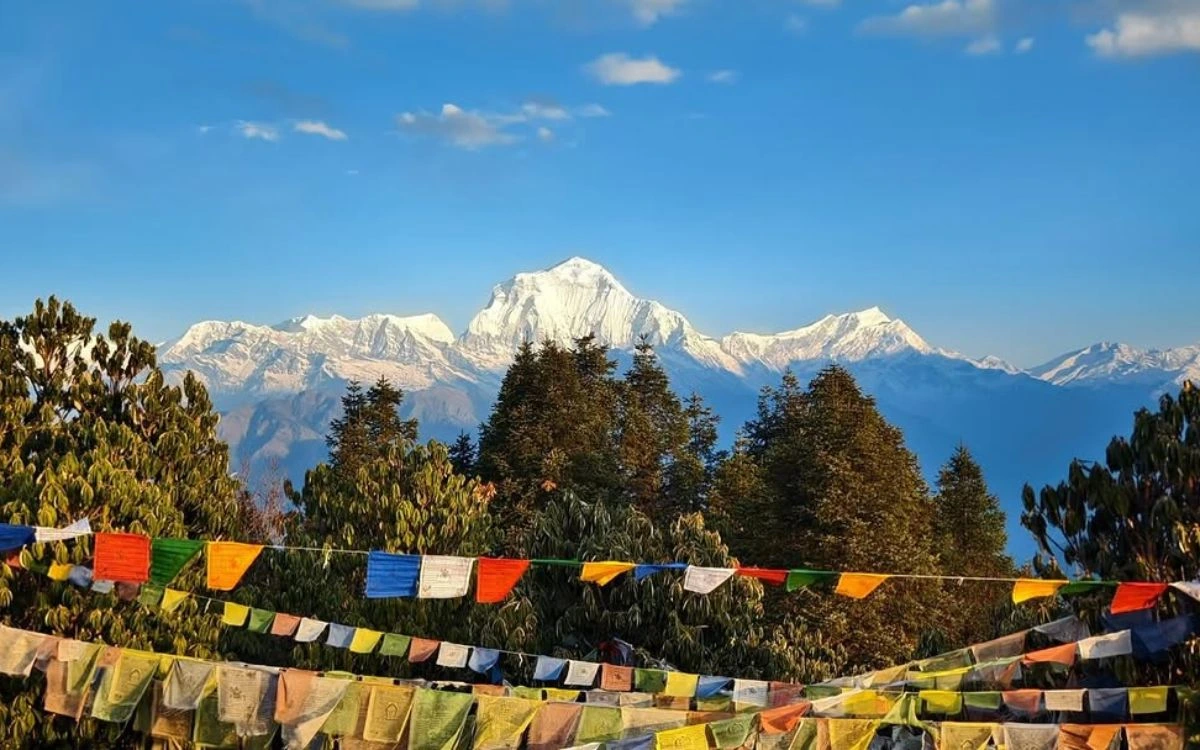 Colourful prayer flags strung in front of the Dhaulagiri massif from Poon Hill