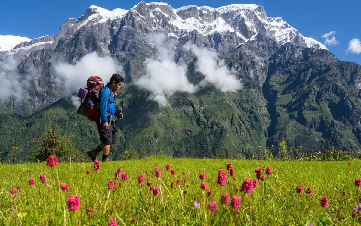 Trekker with a backpack walking through a green meadow with pink wildflowers and a massive snow-capped peak behind