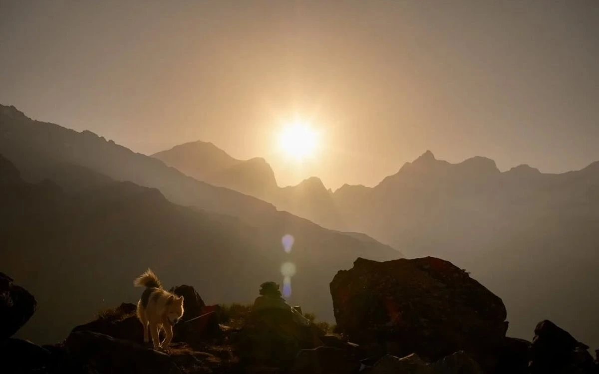 A dog and trekker silhouetted against a hazy golden sunset over layered mountain ridges in Nepal