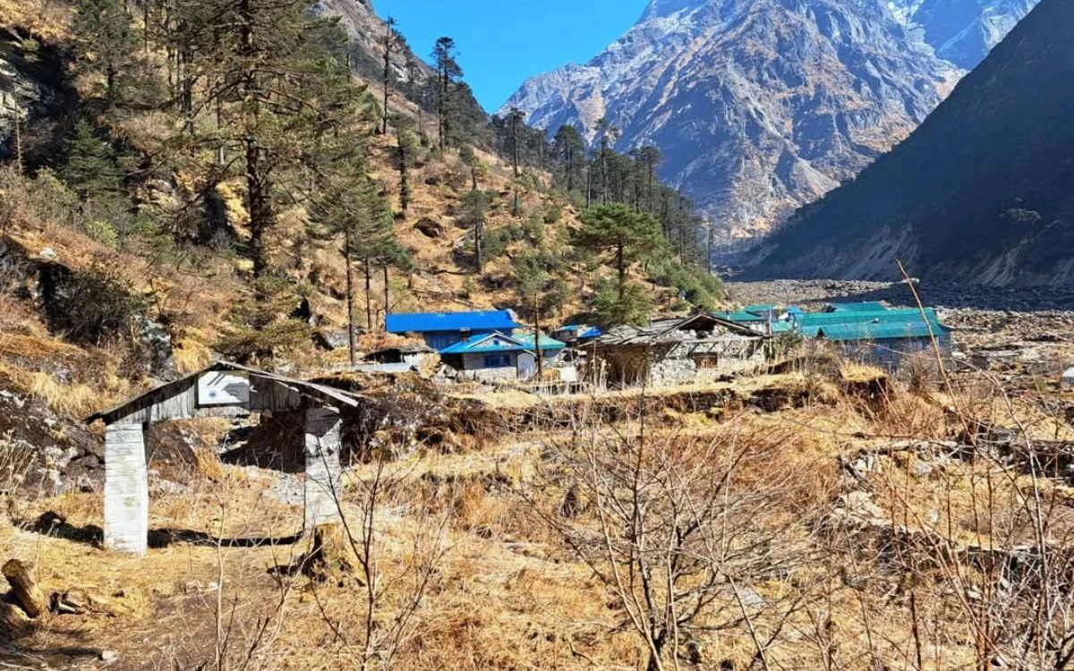 Small teahouse cluster with blue roofs nestled in a dry valley between towering pine-covered Himalayan slopes