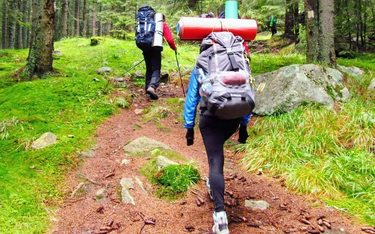Trekkers hiking on a mountain trail through forested terrain with large backpacks and trekking poles.