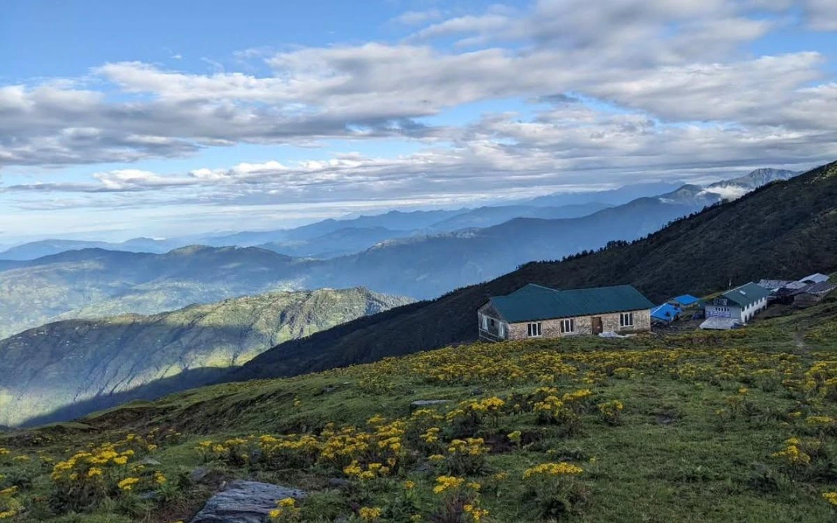 Mountain tea house lodge with panoramic Himalayan views and blooming wild flowers