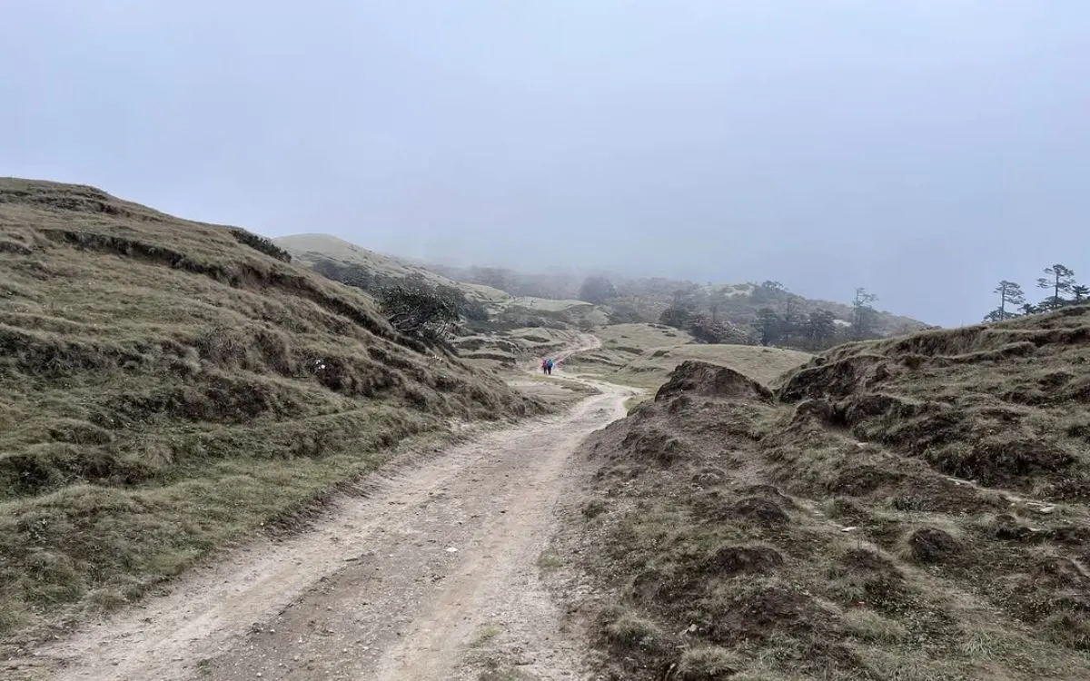 Misty trail on Pikey Peak Trek with distant trekkers