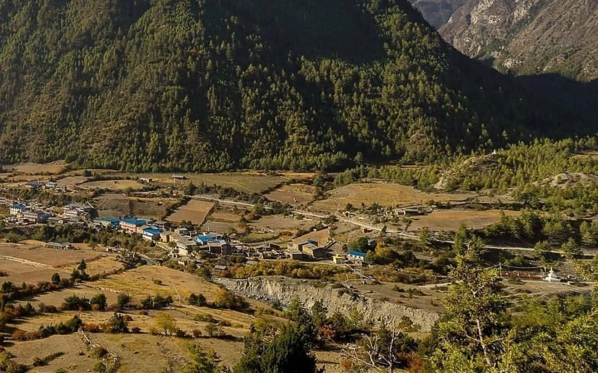 Aerial view of Lower Pisang village with terraced fields and pine forest on the Annapurna Circuit