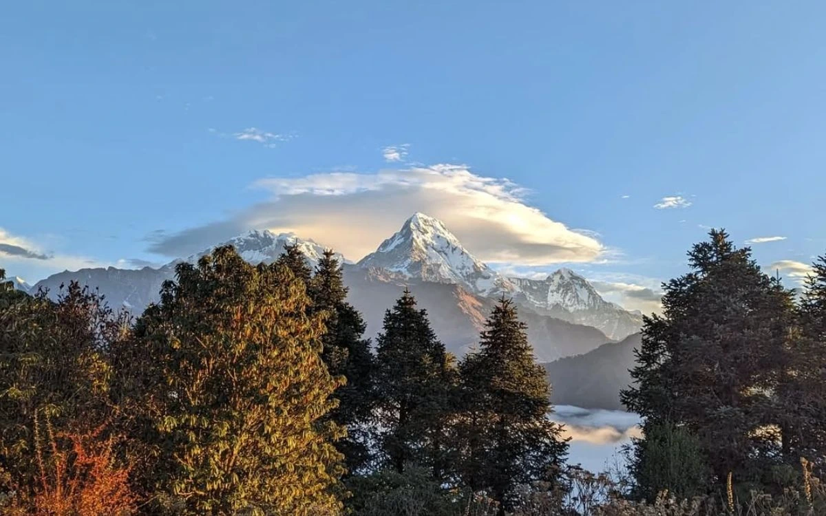 Poon Hill vs Mardi Himal Trek