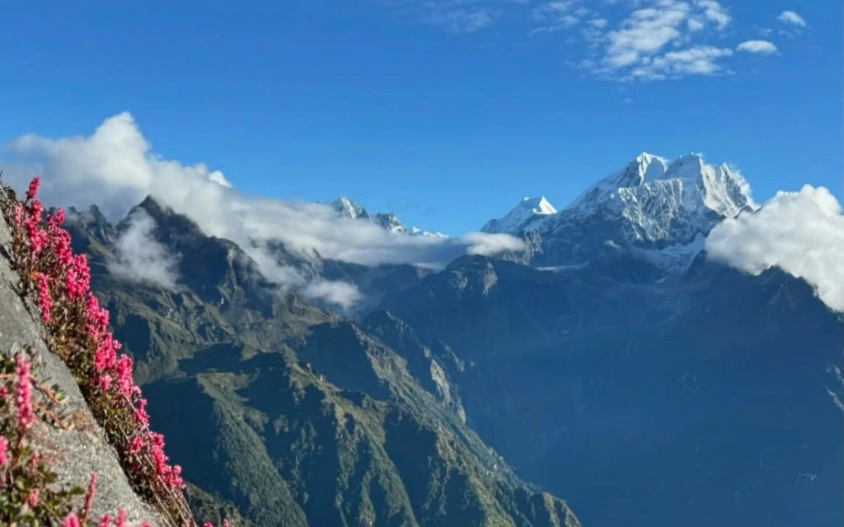 Blooming rhododendrons framing cloud-wrapped Nepal peaks