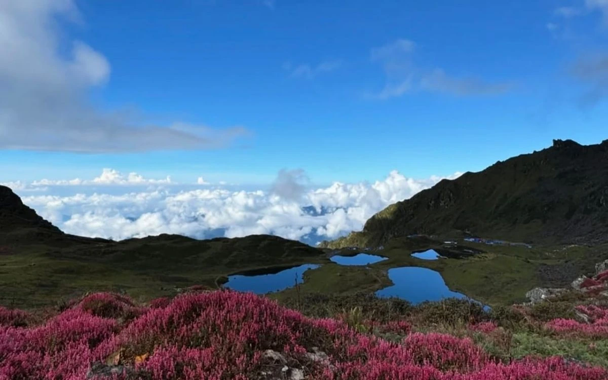 Panch Pokhari's alpine lakes surrounded by blooming wildflowers