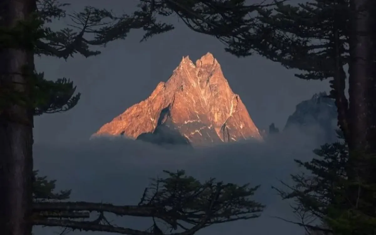 Golden sunrise light illuminating a dramatic mountain peak through forest silhouettes