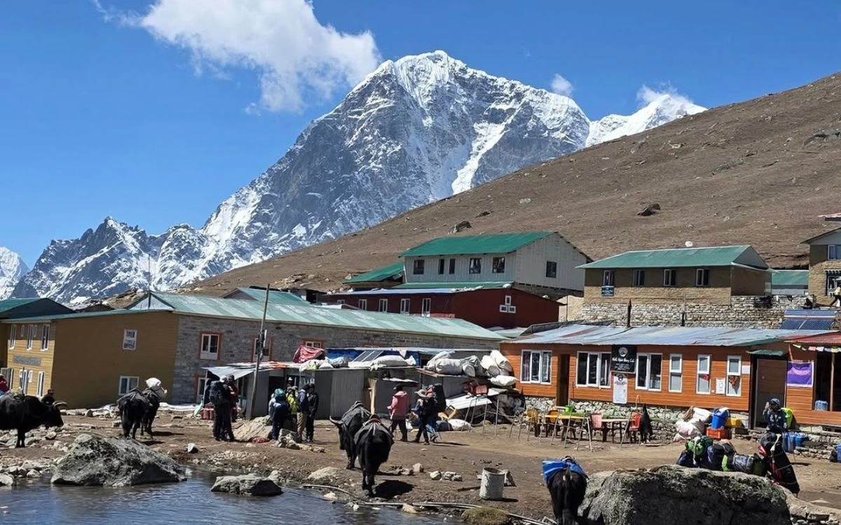 Yaks and trekkers gathered at a green-roofed teahouse settlement with a snowy peak behind