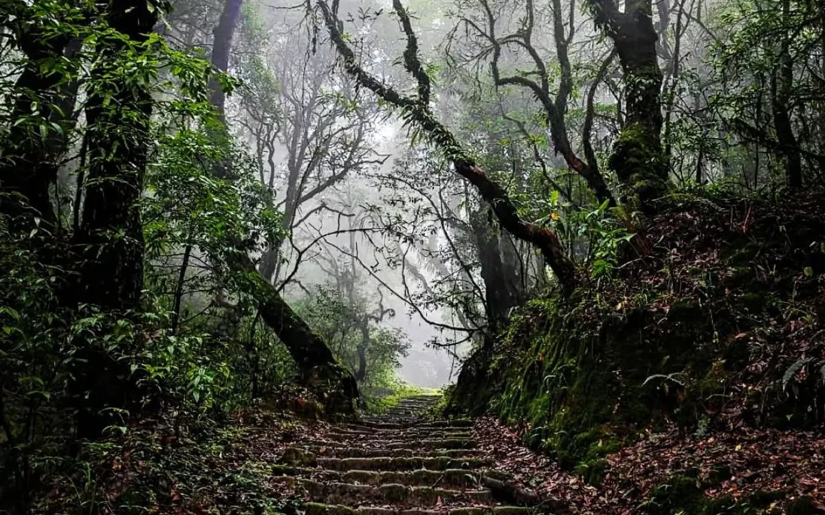 shivapuri national park
