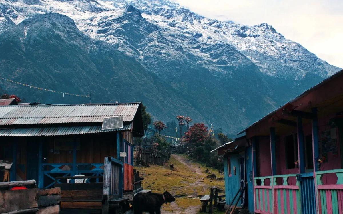 Mountain Village Teahouses Kanchenjunga Trek
