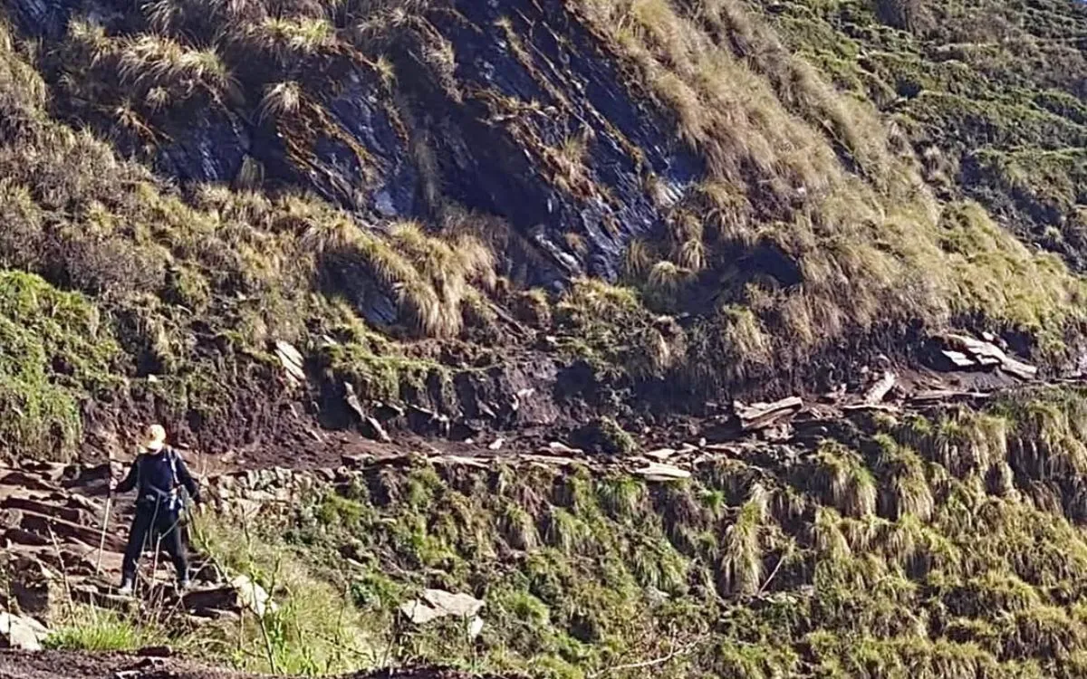 Hiker with trekking poles navigating rocky mountain trail with moss-covered hillside in background
