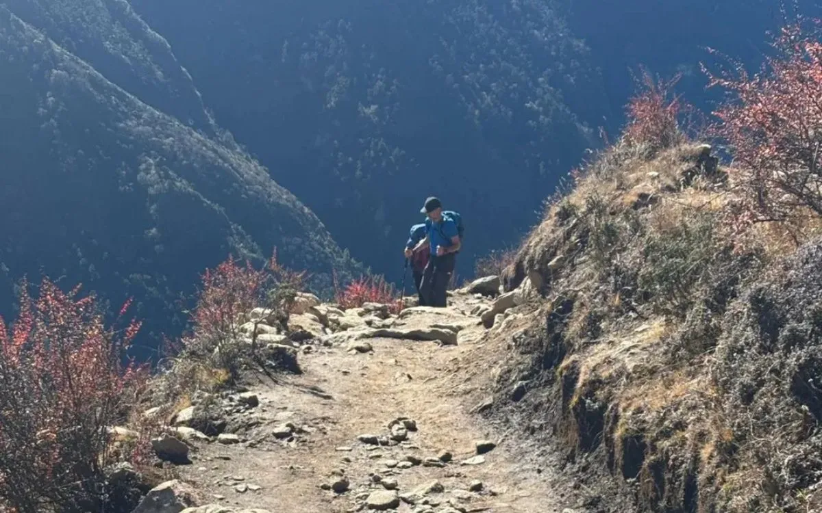Trekker hiking uphill on rocky mountain path surrounded by vegetation.