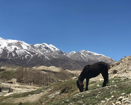 Arounf Mustang Tours