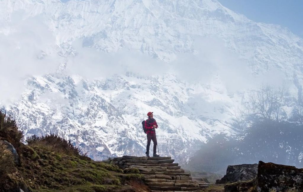 Trekkers navigating the stone stairs along the Mardi Himal forested trail