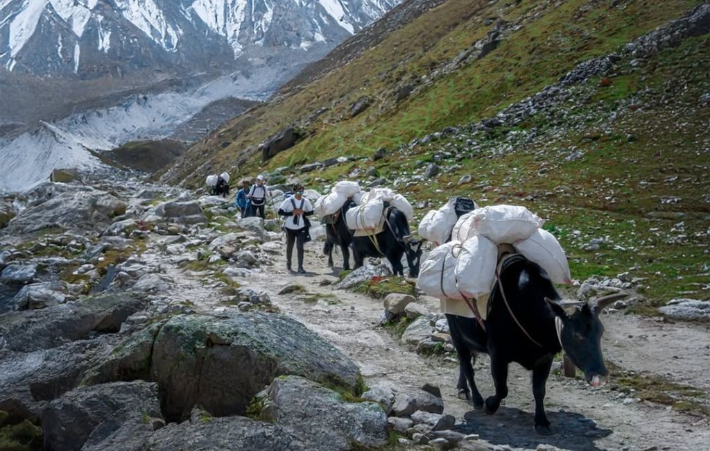 Sherpas of Nepal | History, Culture & Life in the Himalayas